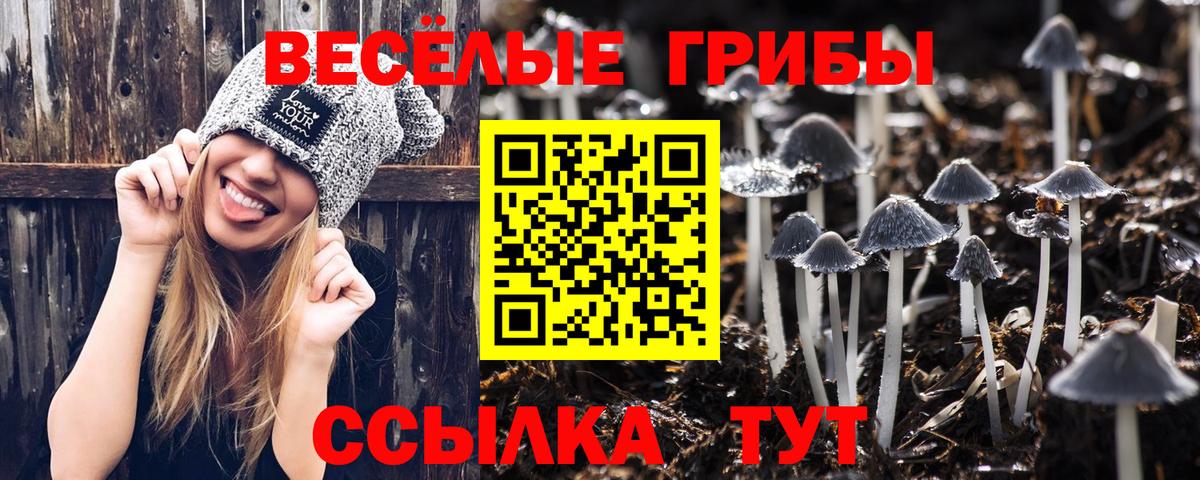 Псилоцибиновые грибы Cubensis  Вход с VPN  Волжск 